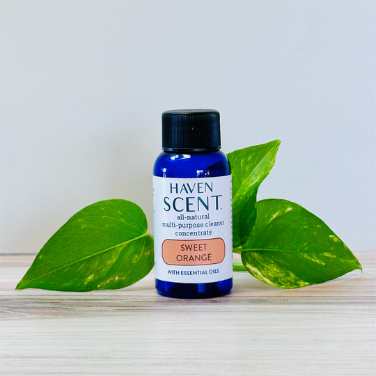 Haven Scent | Clean That Feels Like Calm